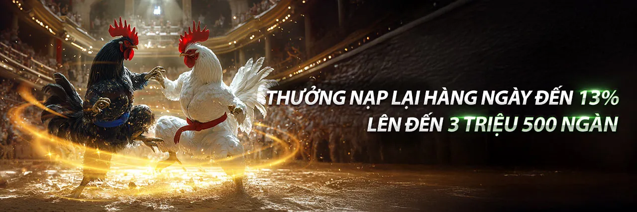 Hình ảnh chính Câu lạc bộ VIP halo88 với các đặc quyền sang trọng